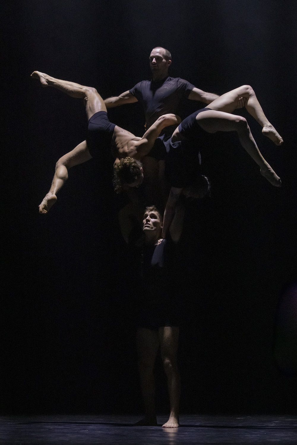 Australian circus company Circa returns to Boston with a dance/circus hybrid