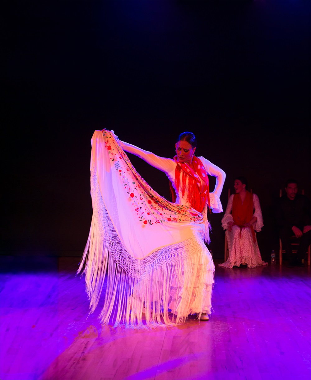 Ballet Flameco La Rosa presents Cuadro Flamenco, Image credit Ballet Flamenco La Rosa